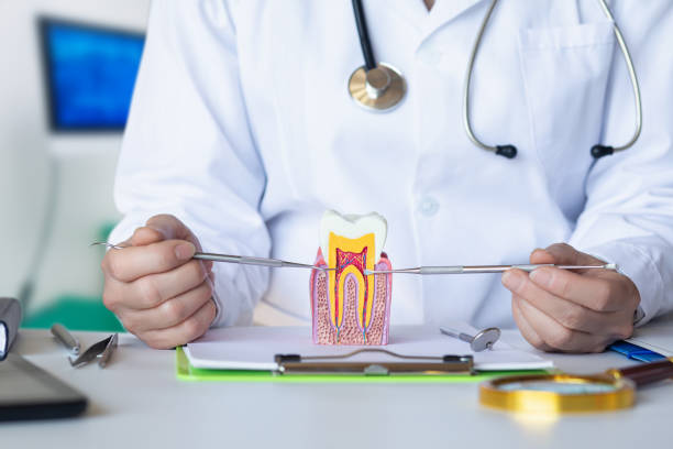 Best Emergency Dentist for Knocked-Out Tooth in Eclectic, AL
